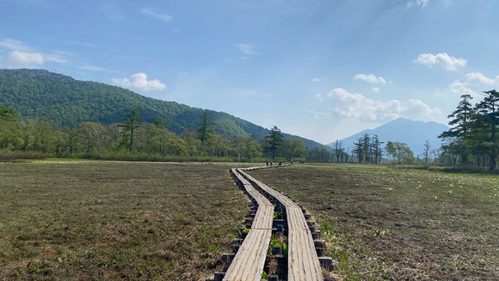 尾瀬が原といえば延々と続く木道