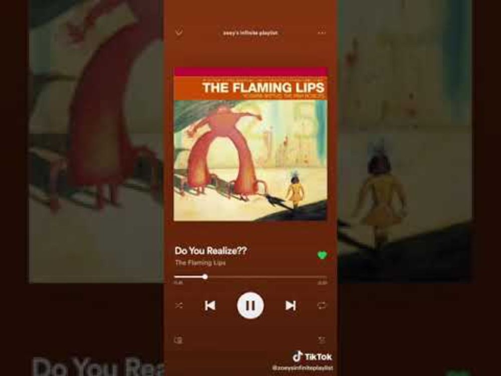 The Flaming Lips - Do you realize