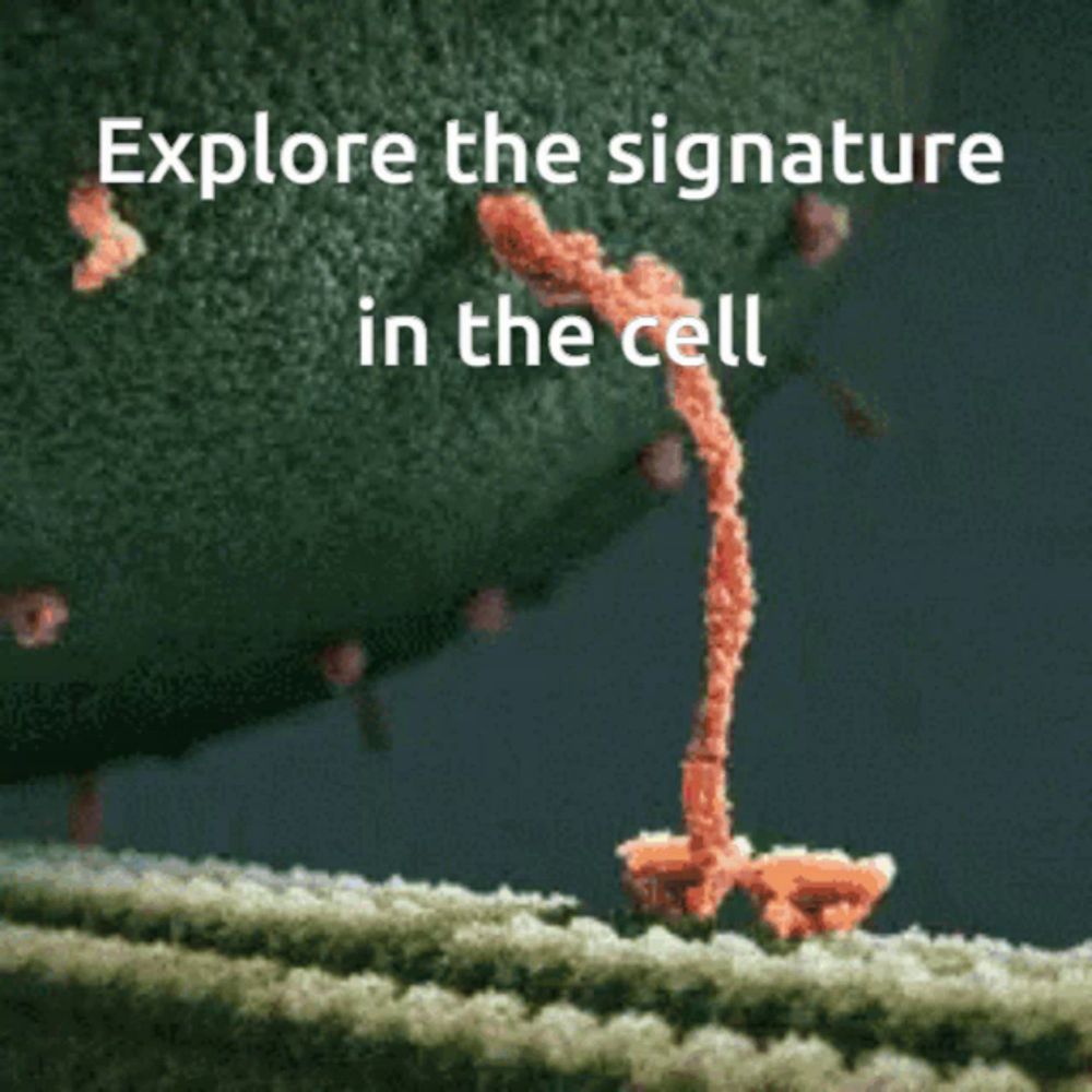 an animated image of a cell with the caption explore the signature in the cell