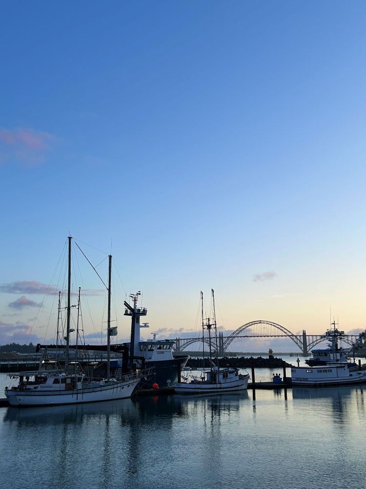 View of a marina with scattered boats and a steel arch bridge in the distance at sunset. 