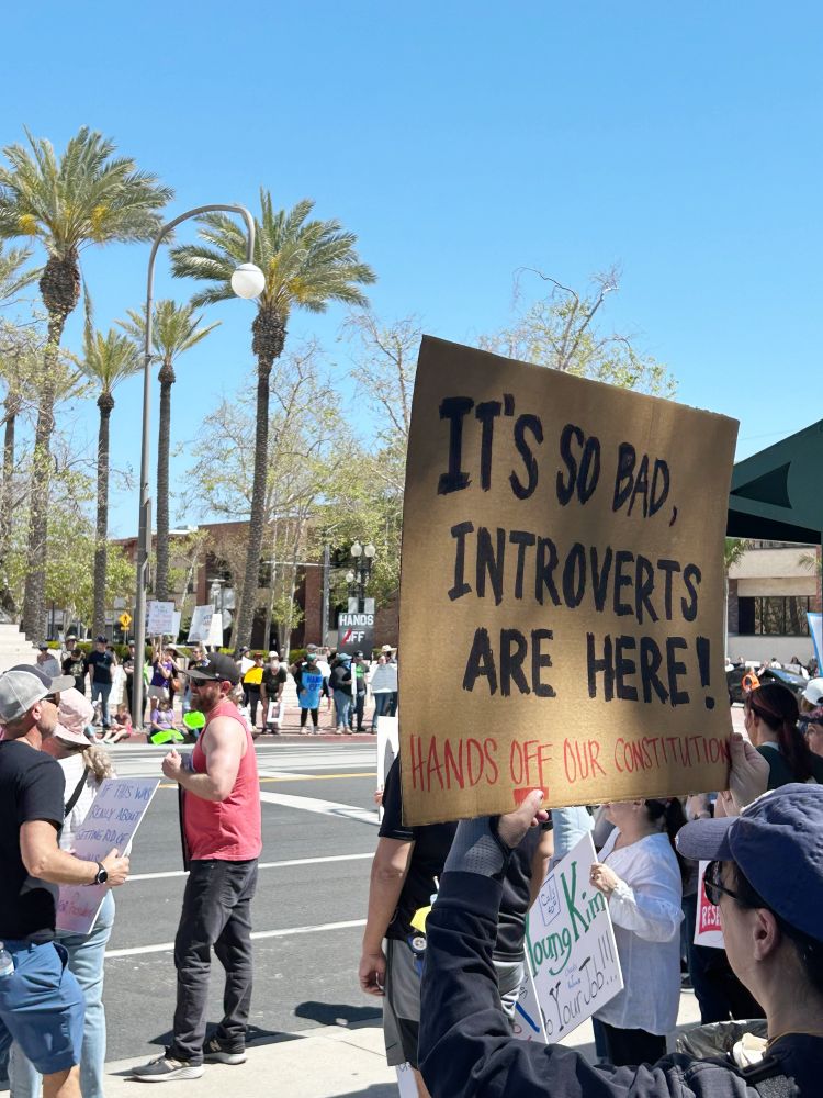 A group of protestors on the sidewalk. One is holding a cardboard sign that reads “It’s so bad, introverts are here! Hands off our Constitution.”