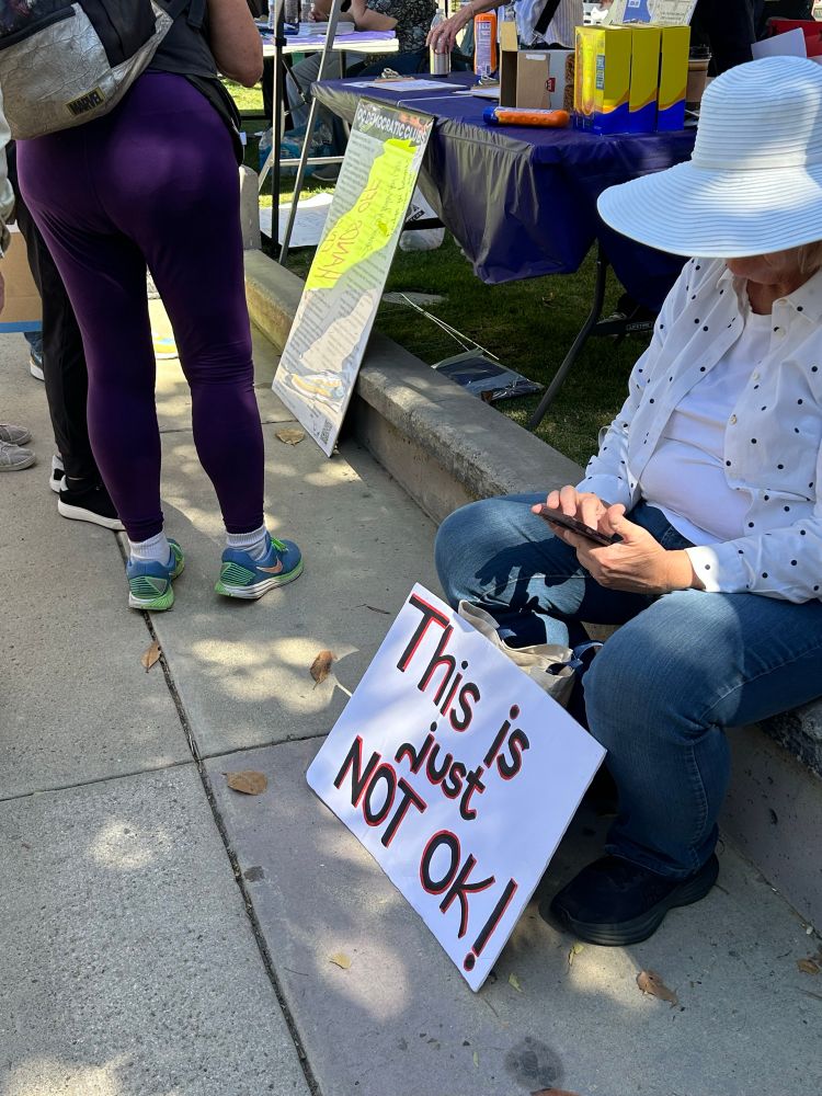A woman sitting on the curb with a white sign that reads “Thisis just not OK!”