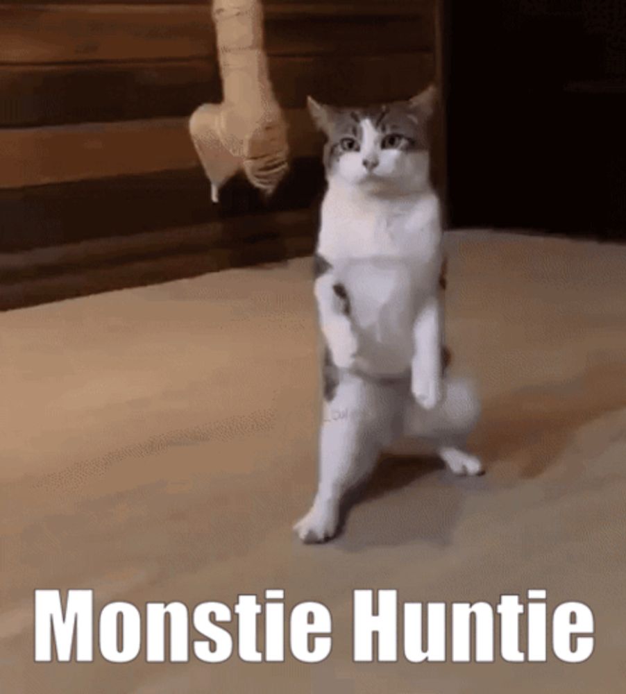 a cat is standing on its hind legs with the words monstie huntie below it