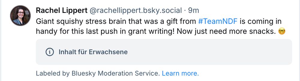 Screenshot of a post that was mistakenly labeled as adult content by Bluesky Moderation Service (showing a giant pink stress ball in the form of a brain)