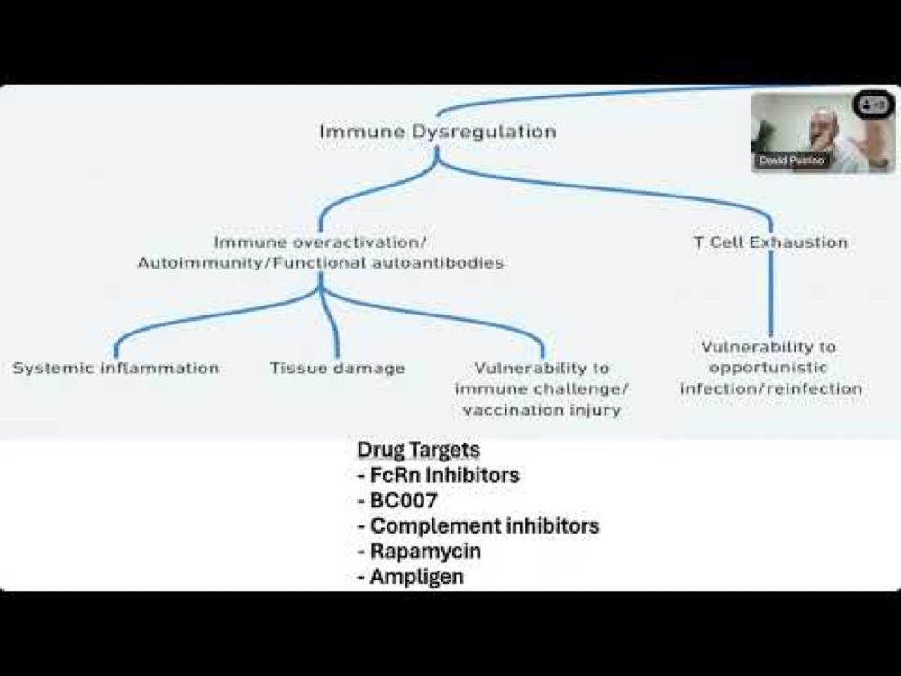 Dr. David Putrino: PAIS-demystifying diagnosis, pathobiology and treatment (Day 2, Block 9)