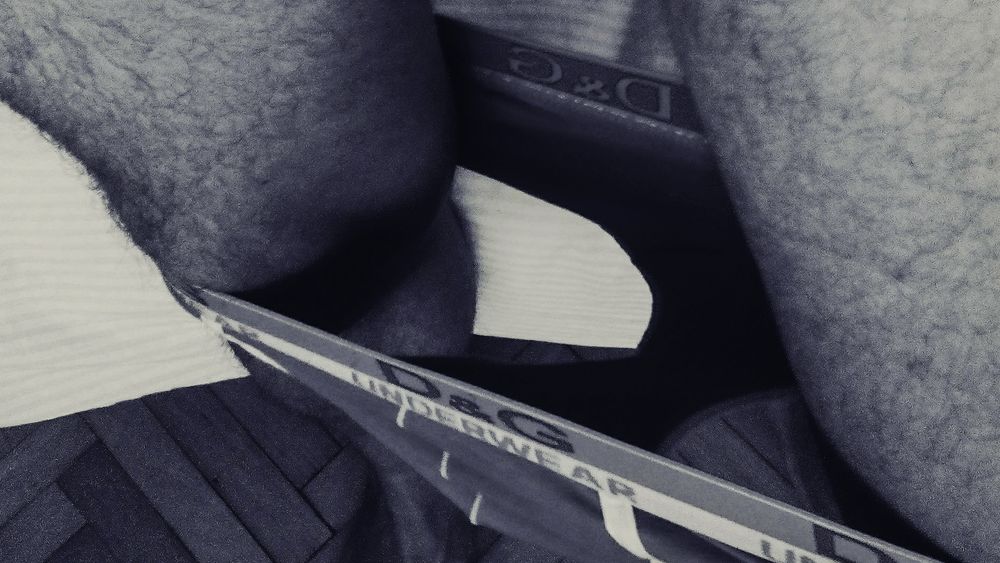 @felandco.bsky.social