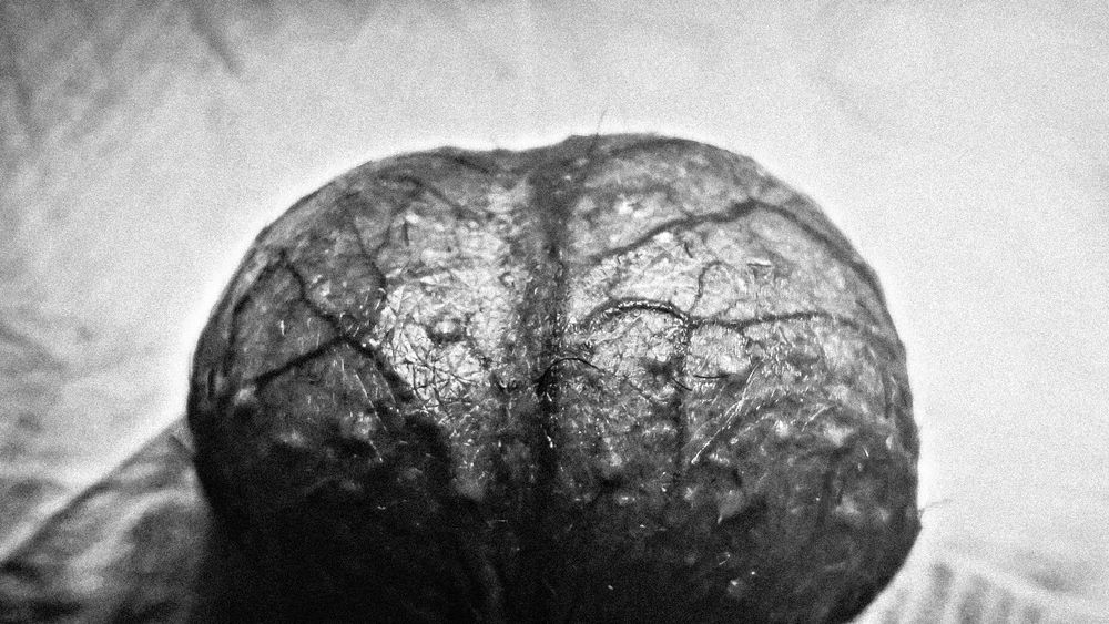 @felandco.bsky.social