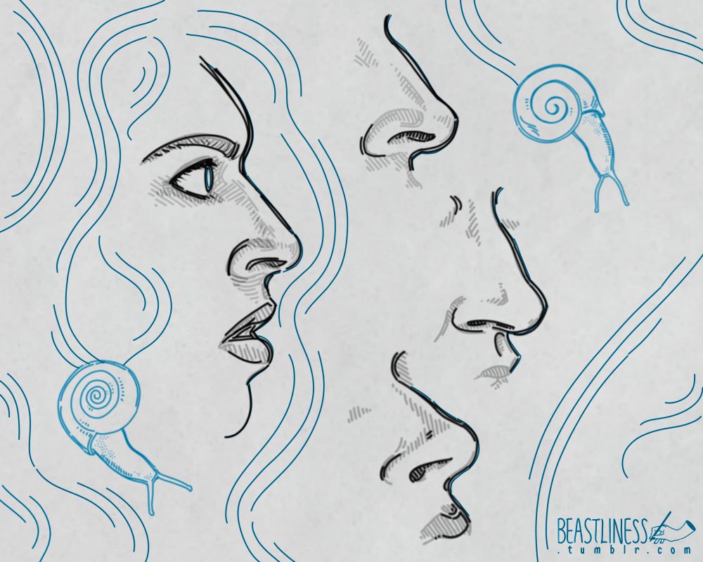 Digital sketch. A man's face in profile; his expression is sharp and intense. A strong, prominent nose; long and subtly curved at the bridge. Nostrils are slightly flared, giving the face a suggestion of power and anger. A sensual mouth; full, parted lips. The same nose is drawn three more times, each tilted and angled slightly differently. Trails of blue lines curl over the page in the wakes of two blue snails.