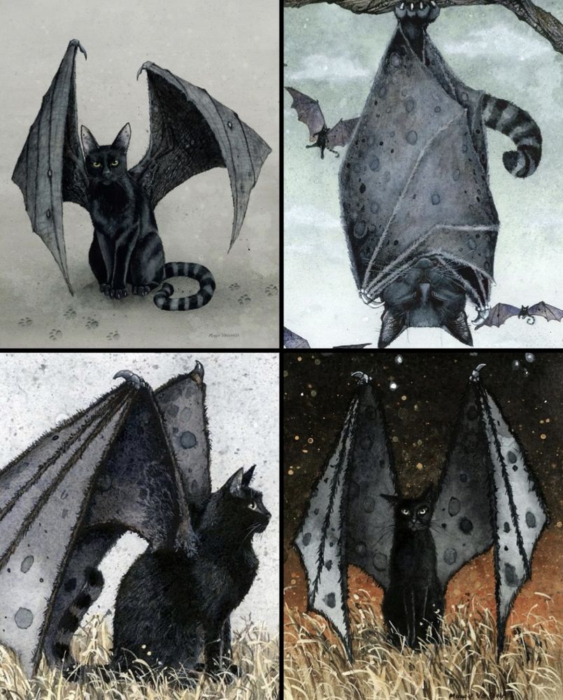 Four watercolour illustrations of black cats with bat wings. 