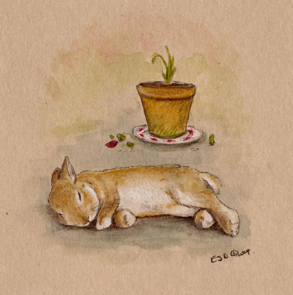 Illustration of a bunny sleeping. There is potted plant in the background.