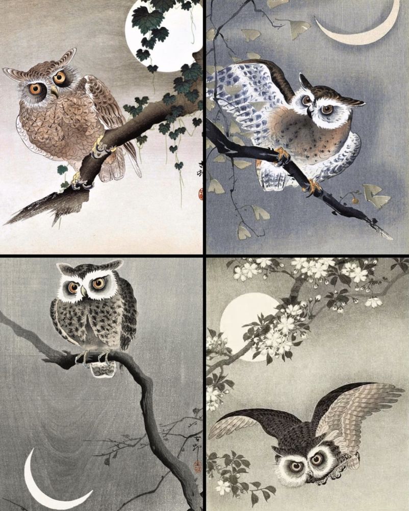 Four artworks:
1. Owl sitting on a tree branch with a full moon in the background.
2. Owl sitting on a branch with a crescent moon in the background.
3. Owl in flight with a full moon in the background.
4. Owl sitting on a branch, crescent moon in the background. 