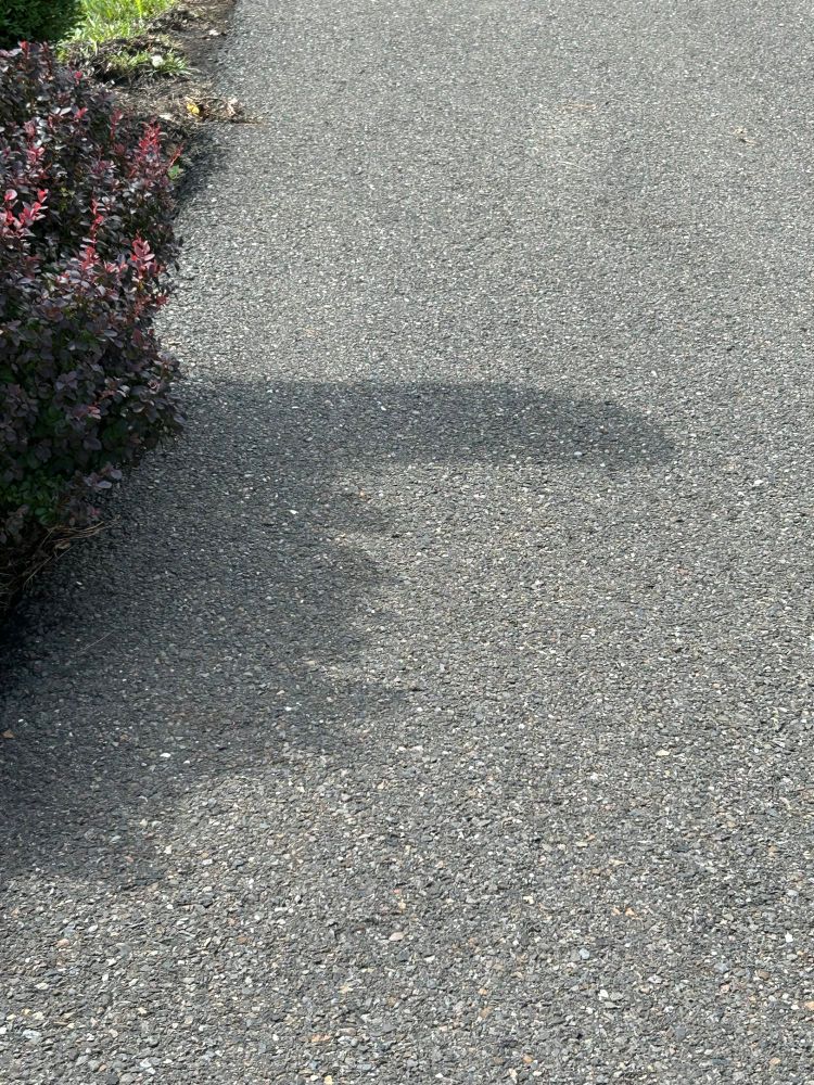Post image (had no alt text on Bluesky)