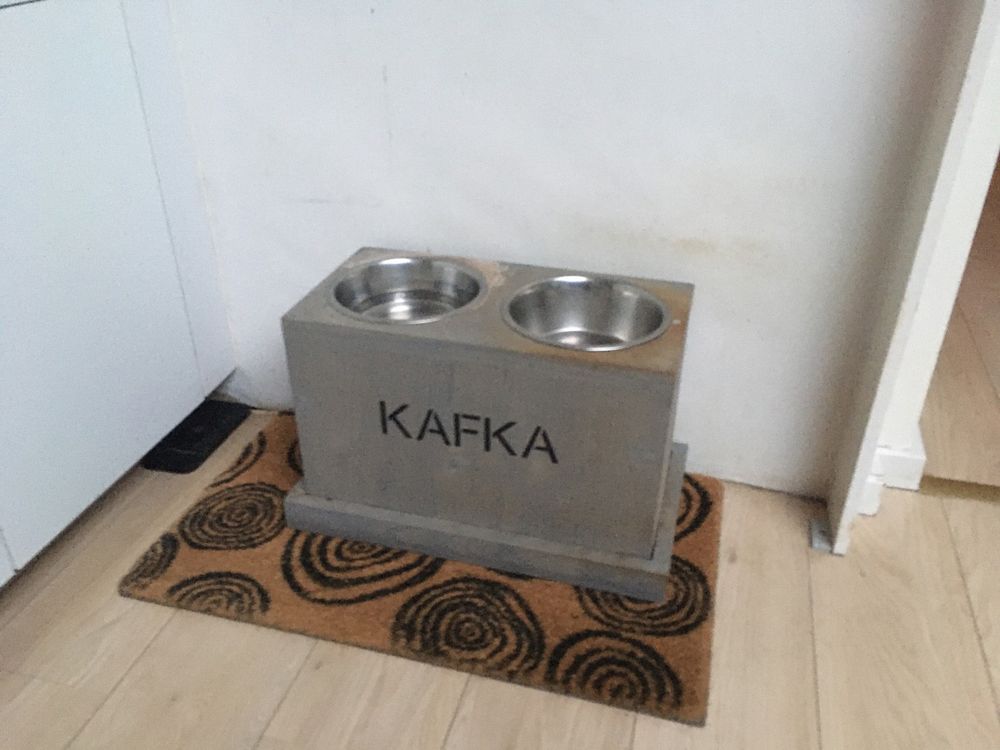 Dog feeding bowl with the word Kafka written on it.