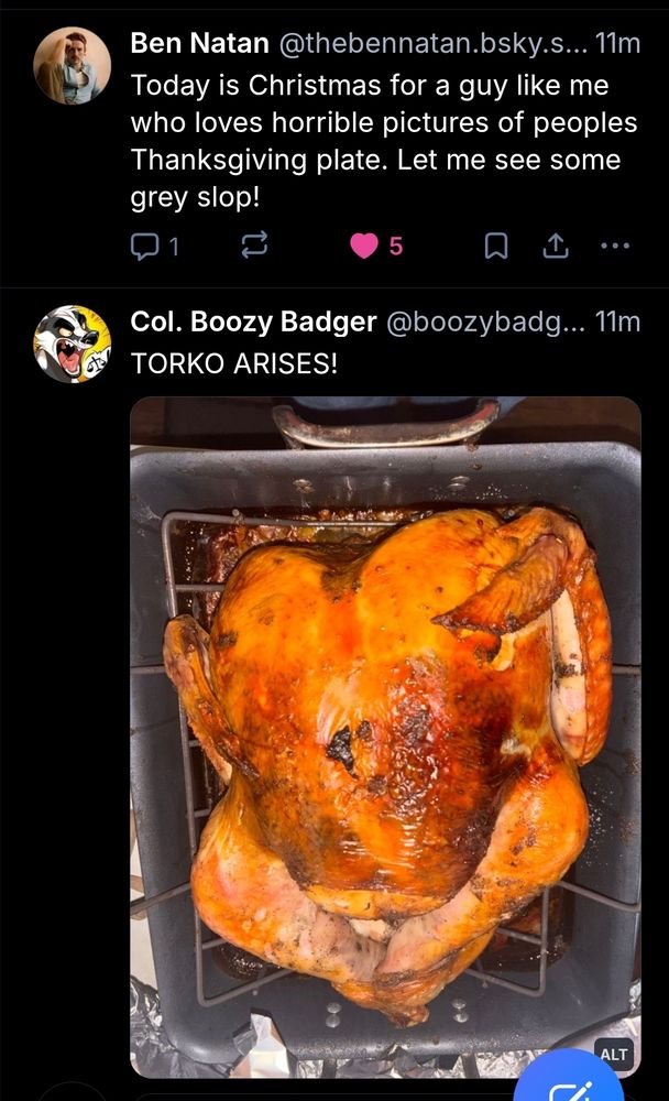 Screenshot of the above post with another post below it featuring a roasted turkey