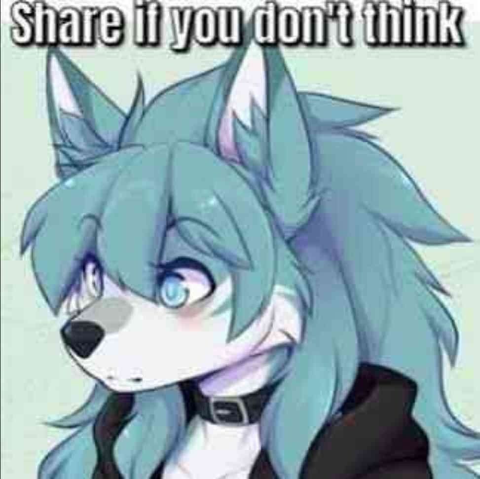 Share if you dont think