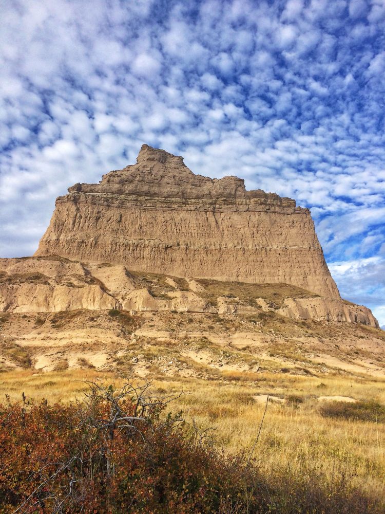 The photo depicts Scotts Bluff National Monument in western Nebraska, a prominent bluff rising dramatically above the surrounding plains. The image captures the rugged, layered rock formations of the bluff under a sky dotted with white, fluffy clouds. In the foreground are dry, golden grasses and reddish-brown bushes.