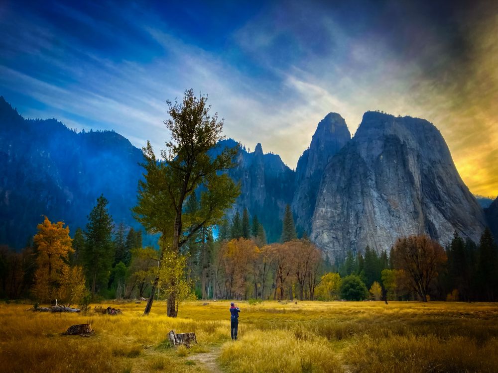 The photo depicts a scenic view of a vast meadow in Yosemite Valley, with prominent granite cliffs rising in the background. A single individual stands in the middle of the meadow, using a phone to capture an image of the sunset, which is mostly out of the frame of this photo. The photo was taken during autumn, and shows the golden hues of the meadow grasses and the presence of trees with fall foliage. The sky above transitions from a vibrant blue on the left to warm, golden tones on the right.