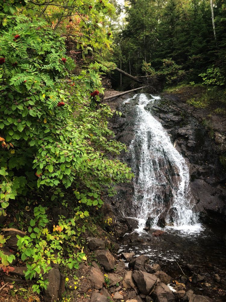 The photo a waterfall cascading over dark rocks into a pool below. Lush green foliage, including a prominent bush with red berries, frames the left side of the waterfall. 