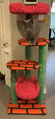 Mario hotsell cat tree