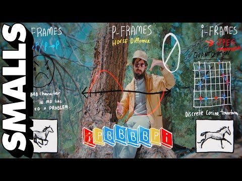 WHAT CODEC SHOULD I USE? | adult swim smalls