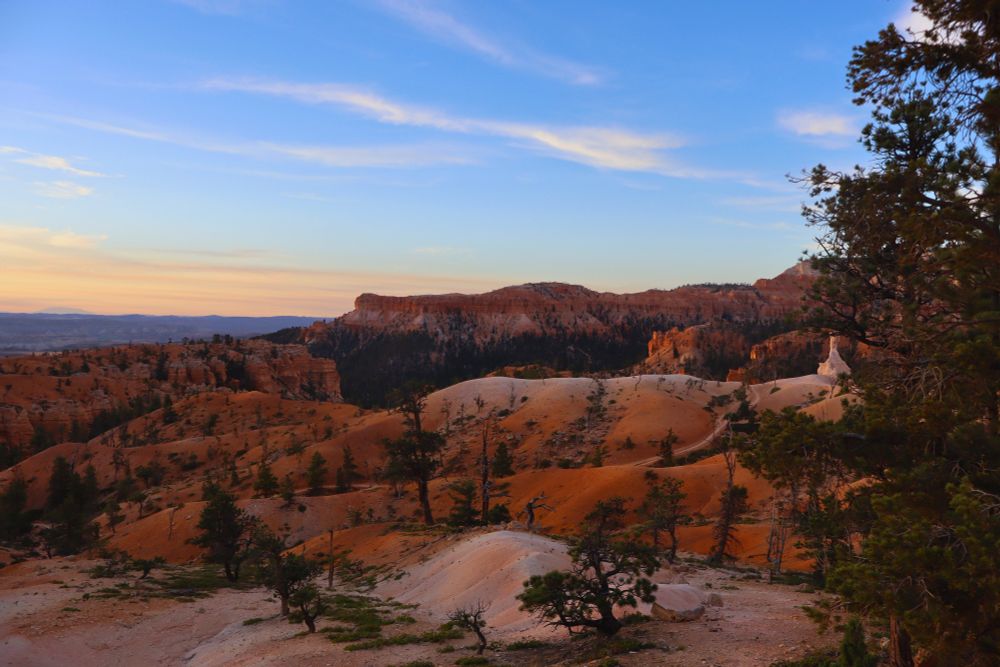 Red and white rocks with evergreen trees and a blue and peach wispy sky at sunrise. Bryce Canyon National Park, Utah. 