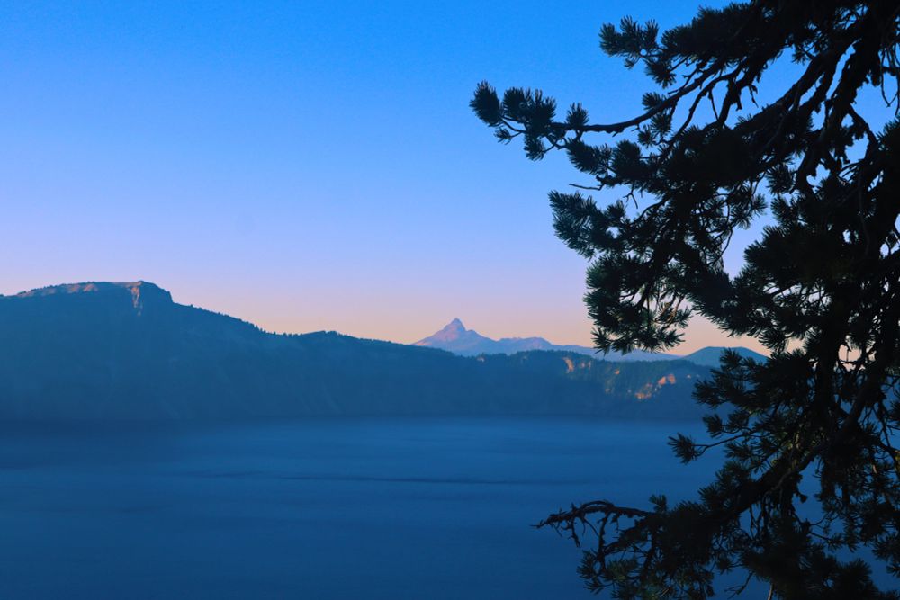 Crater Lake at dusk, silhouetted pine tree branches framing the right side, and the sharp peak of Mount Thielsen in the distance under a pale pastel-colored sky.
