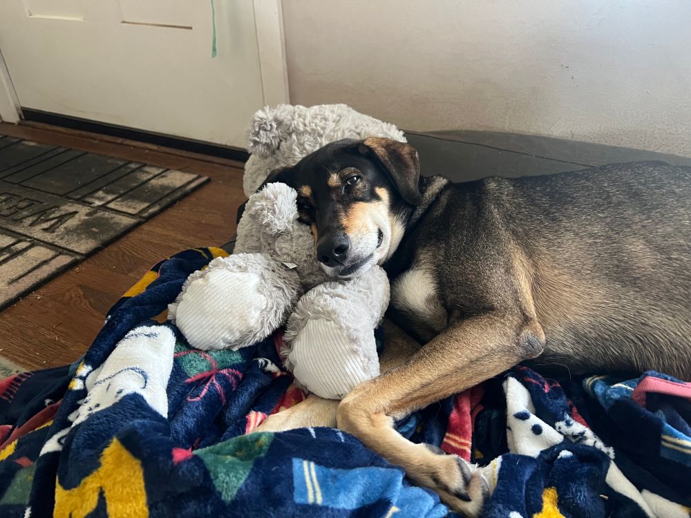 Chilling with his X-Mas bear. 