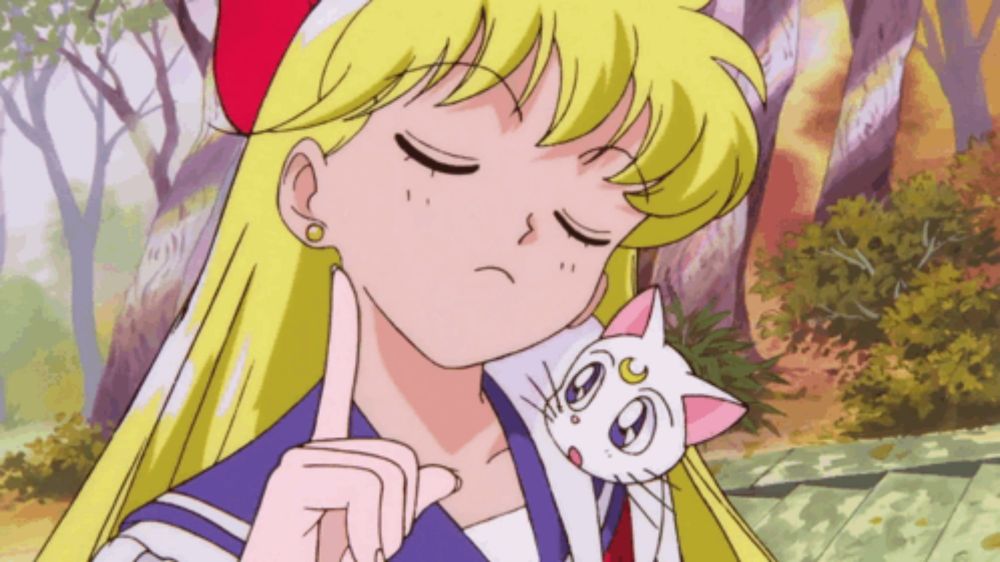 Minako Aino Sailor Venus GIF