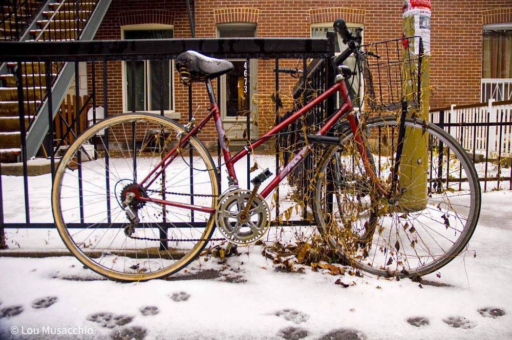 A bicycle leans against a wrought iron fence in front of an urban brick house dwelling. The bike has a basket over it’s front wheel. There are paw prints in the snow that had fallen in the early morning.