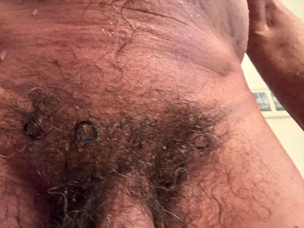 pic of man’s bush and the root of his cock 