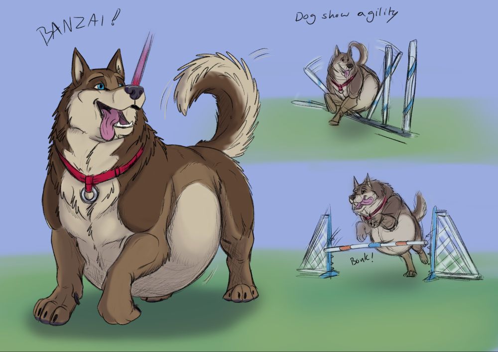 Digital drawing by the artist RAMZI, depicting 3 images of Banzai a rotund dog. On the left Banzi is posing happily, to the top right is a sketch of him knocking down agility poles, bottom right he is trying to jump over a hurdle but his fat round belly is knocking it down. 