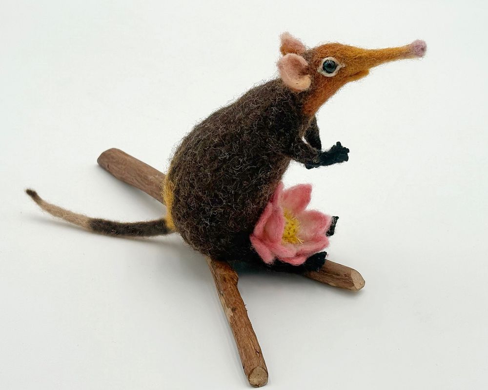 Neither Elephant Nor Shrew (2025) - needle felted anthropomorphic sculpture by Lynn Wartski of a Golden Rumped Sengi (elephant shrew) holding a lotus blossom, seated on a natural wood base.  Sengis are insectivores that are not true shrews (actually, closer biologically to elephants!) and are considered a symbol of resillience and adaptability.  The lotus is also a symbol or resilience because of its ability to grow out of muddy soil.  Brown sengi with distintive yellow patch near tail, with white/pink lotus blossom