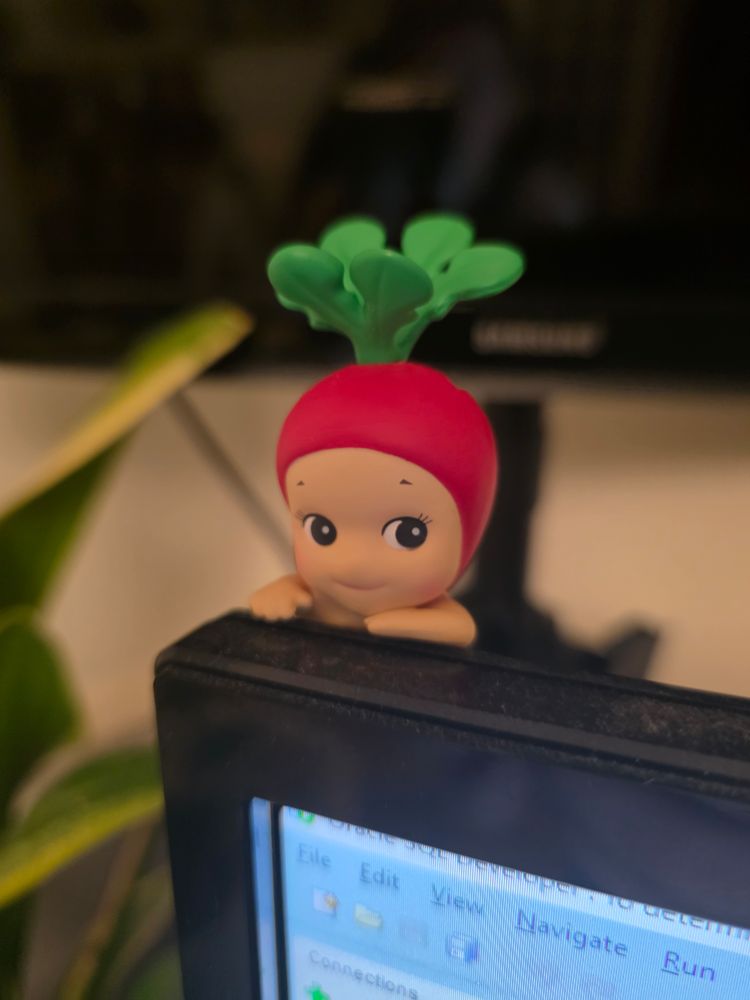 A Sonny Angel figure dressed as a radish is poking its head out from behind my monitor. No I will not explain.