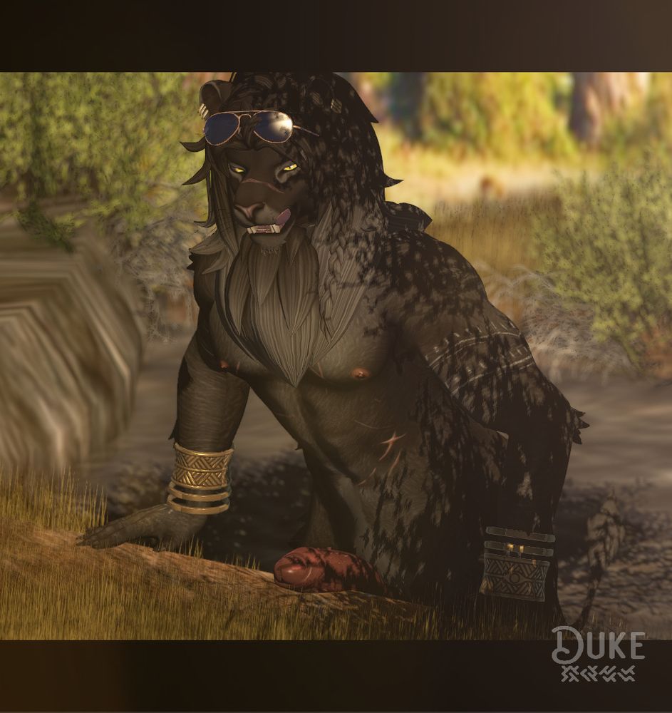 A black furred anthropomorphic lion rises out of a savanna watering hole bending slightly over the waters edge. He is licking his lips in a sultry manner while his stiffening cock is flopped out in plain view.