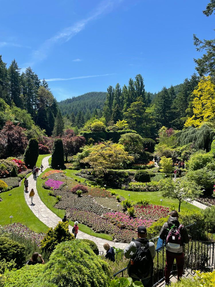 Looking down into an old rock quarry that is now lush colourful flower gardens, bushes and trees with walking paths. The Sunken Gardens at Butchart in Victoria BC.