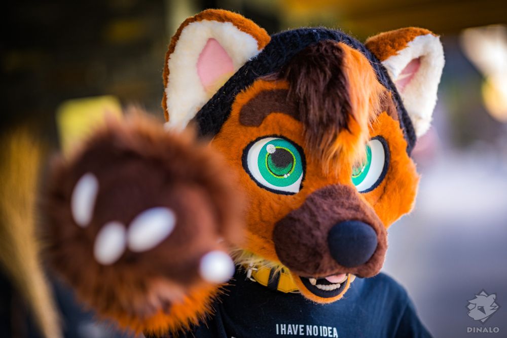 Closeup photo of person wearing pine marten fursuit, pointing their finger at the viewer.
