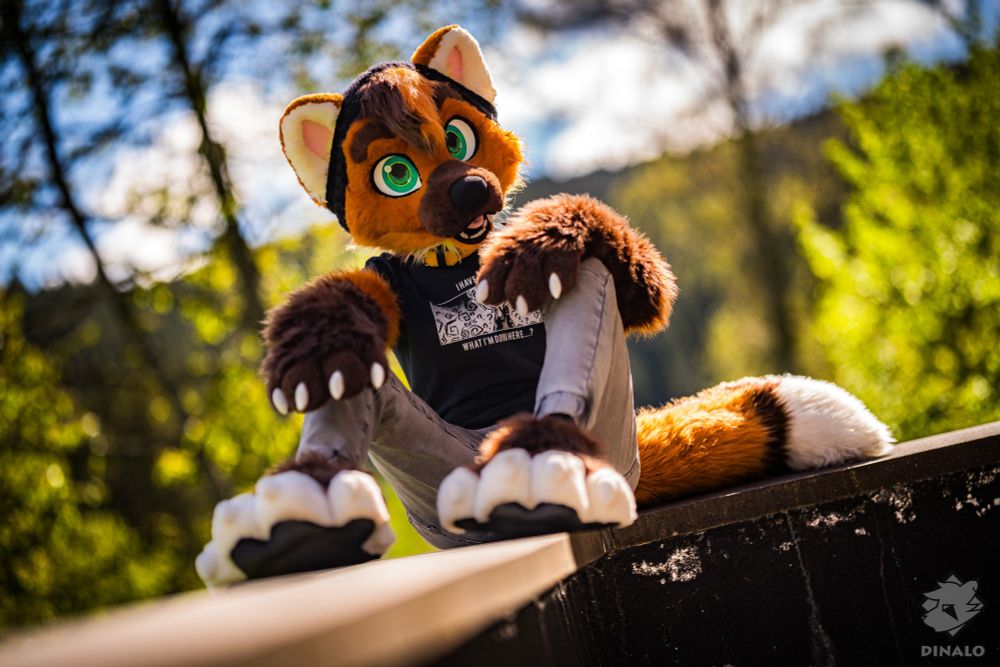 Photo of person wearing pine marten partial fursuit, sitting down on a wall, with trees illuminated by sunshine in the background.