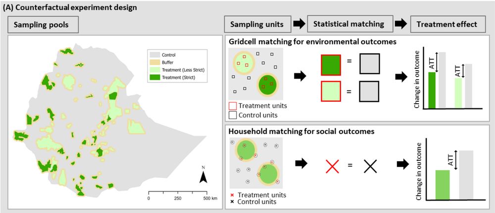 Effectiveness of Ethiopia’s protected area network. (A) Summarises the counterfactual experiment design.