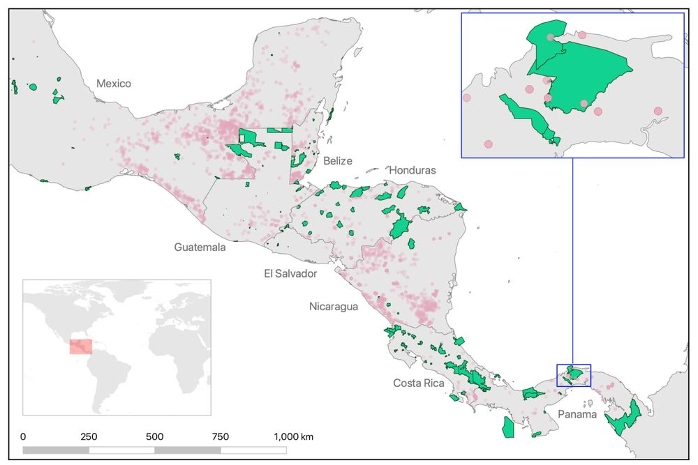 The spatial distribution of confirmed screwworm infestation in animals between January 1st, 2023, and July 26th, 2025 (red circles) according to data in the World Animal Health Information System database, and national parks with terrestrial components (green polygons) according to the World Database on Protected Areas in Central America and Southern Mexico. Other protected area types, such as RAMSAR sites, are not shown. The blue-framed inset shows reported cattle infestation cases in Chagres and Portobelo National Parks, Panama.
