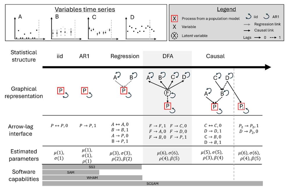 Overview of the various options (columns) to represent time-variation in a population process (P in the red square): random deviation around a mean (iid), autoregressive structure of order one (AR1), regression on environmental variables, Dynamic Factor Analysis (DFA) and causal. Each statistical structure has a graphical representation, the number of estimated parameters, and existing software able to estimate it: Stock Synthesis (SS3, Methot and Wetzel, 2013); SAM (Nielsen and Berg, 2014), WHAM (Stock and Miller, 2021), and Structural Causal Enhanced Assessment Model (SCEAM, this study).
