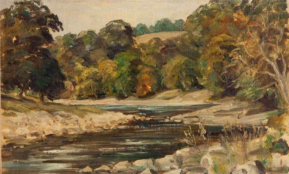 Big bushy trees with a river running through the middle. Leaves are green and orange 