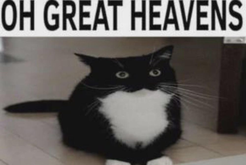 Comment image