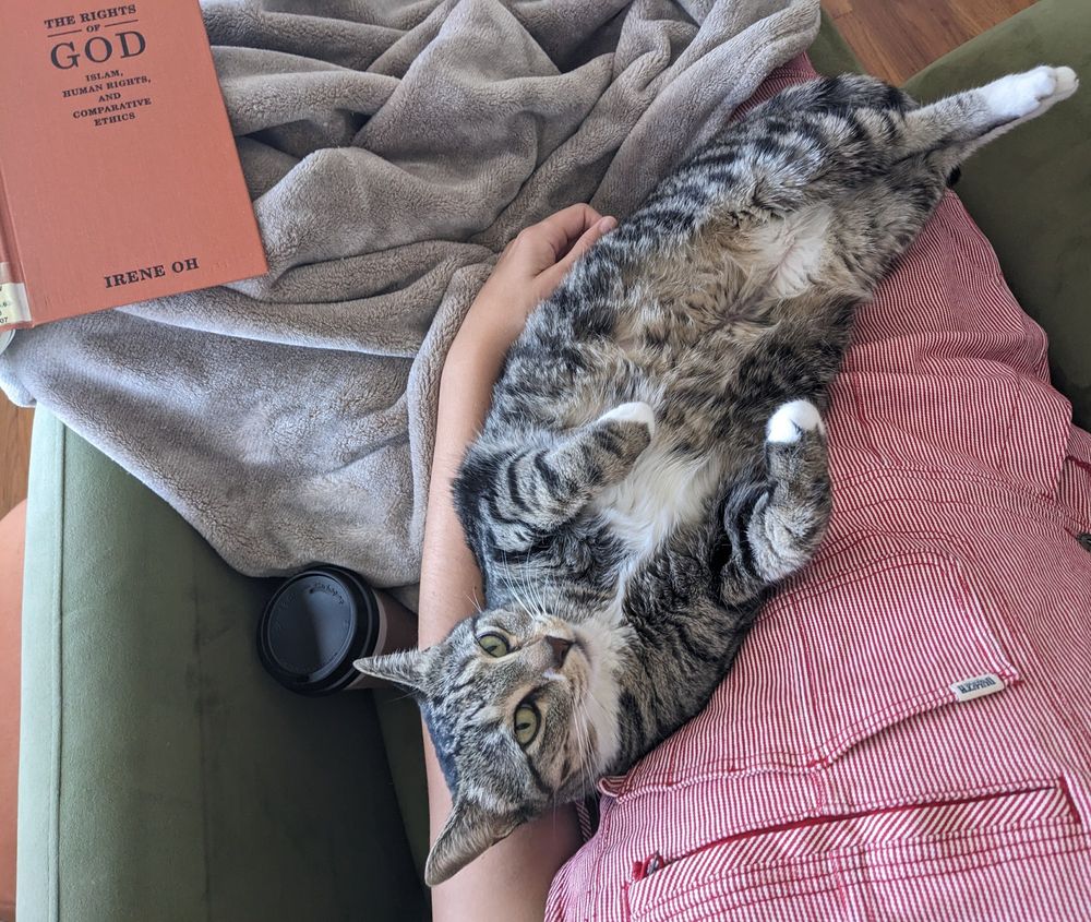 A tabby cat lounges belly up in the lap of a person wearing red striped coveralls (protective gear)