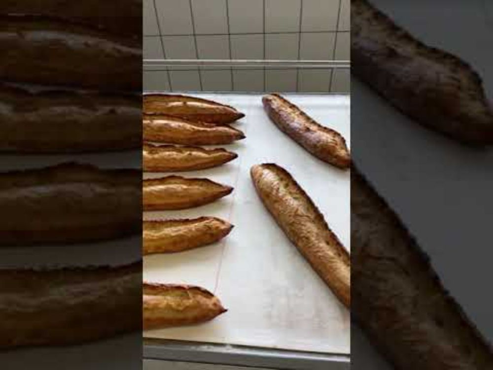 Les étapes de fabrication d'une Baguette de Tradition Française