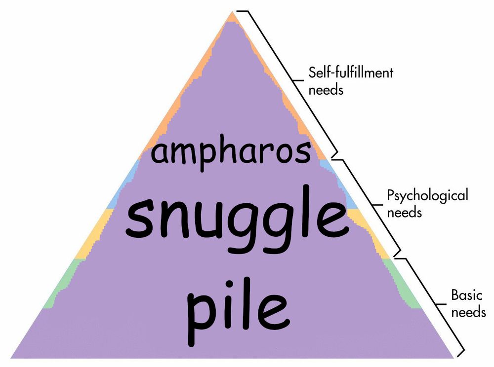 A image showing the needs triangle, with 3 of them being basic/psychological/self-fulfillment, with the triangle being edited to now say "ampharos snuggle pile".