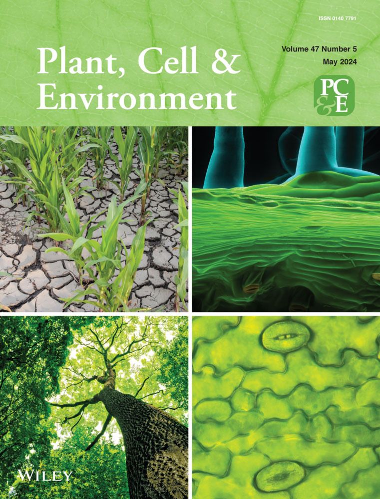 Far‐red light enrichment affects gene expression and architecture as well as growth and photosynthesis in rice