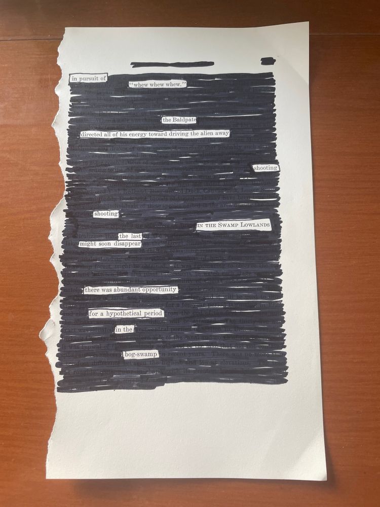 Blackout poetry on a page of printed text, with everything crossed out except for these words:

In pursuit of
“Whew whew whew”
The Baldpate
Directed all of his energy toward driving the alien away
Shooting
Shooting
In the swamp lowlands

The last
Might soon disappear

There was abundant opportunity 
For a hypothetical period
In the
Bog-swamp 