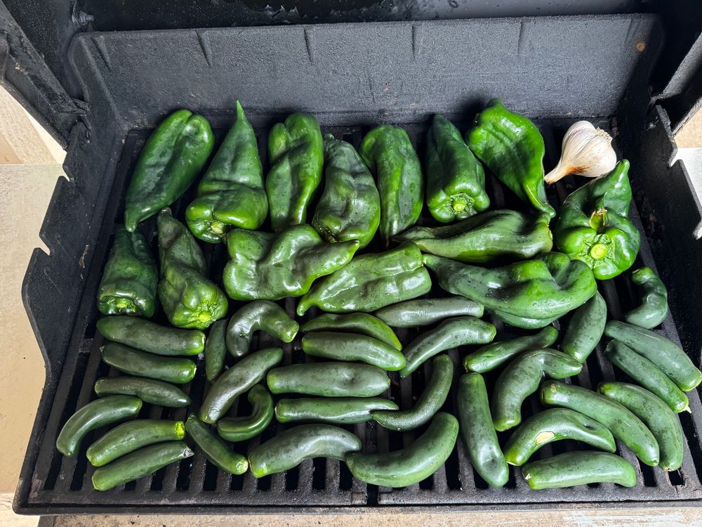 Peppers and garlic on the grill