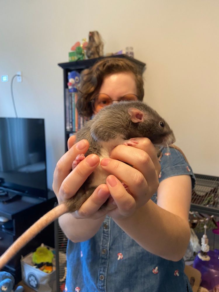 Photo of me scooping up Peach, my pet rat, and showing her to the camera.