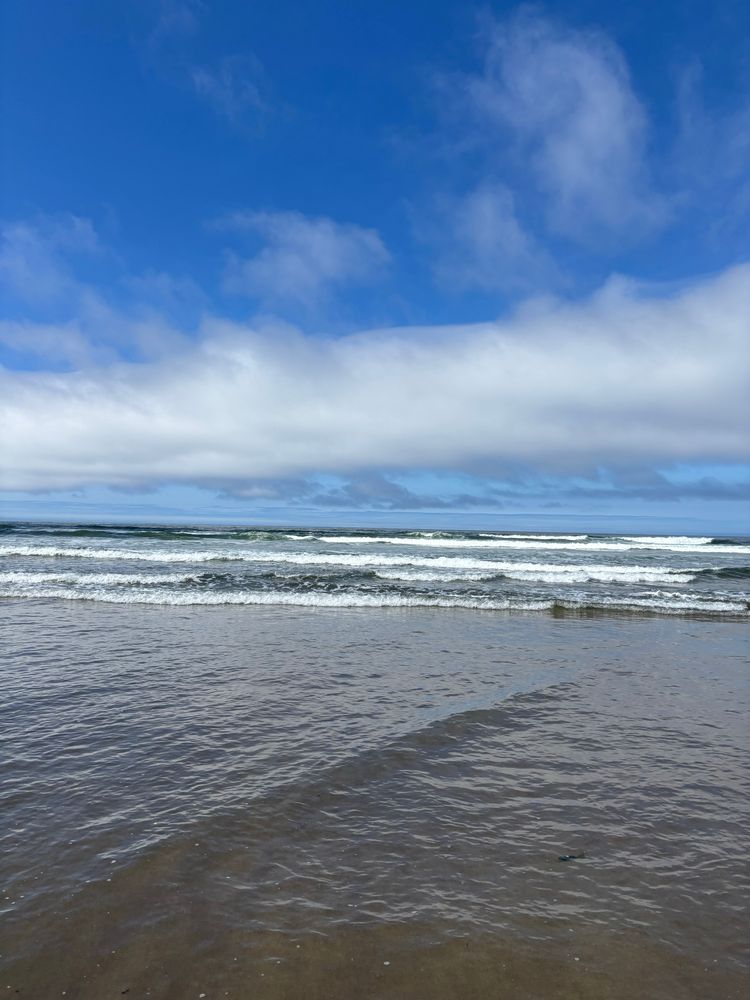  Vivid blue sky and a line of white clouds over an Oregon beach along the Pacific Ocean 